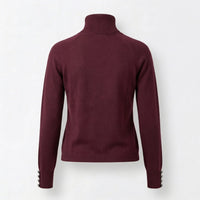 Maroon turtleneck sweater on a white background